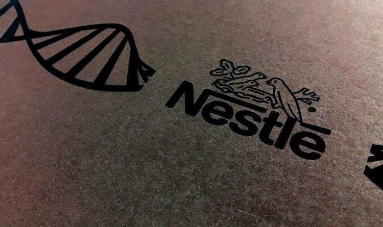 Nestlé lança plataforma de apoio aos microempreendedores nas periferias brasileiras