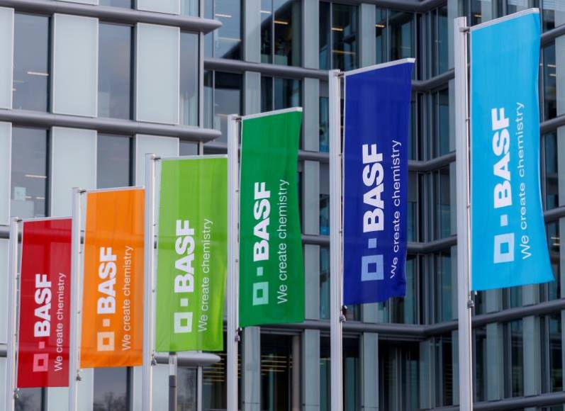 Novo ingrediente ativo desenvolvido pela BASF promove detox capilar e proporciona saúde para o couro cabeludo