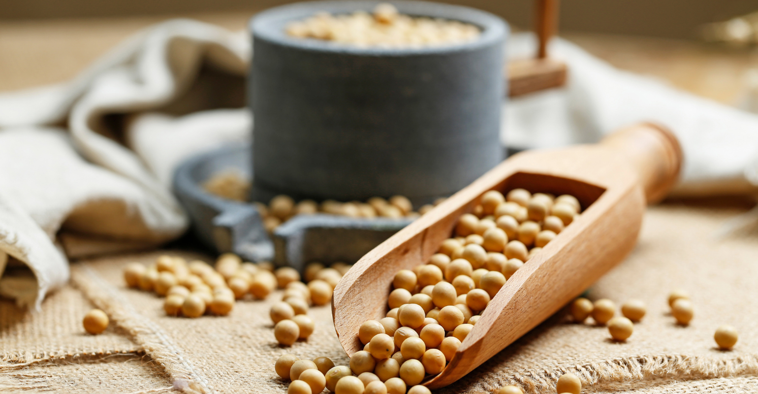 Por que utilizamos proteínas de soja na indústria de alimentos?