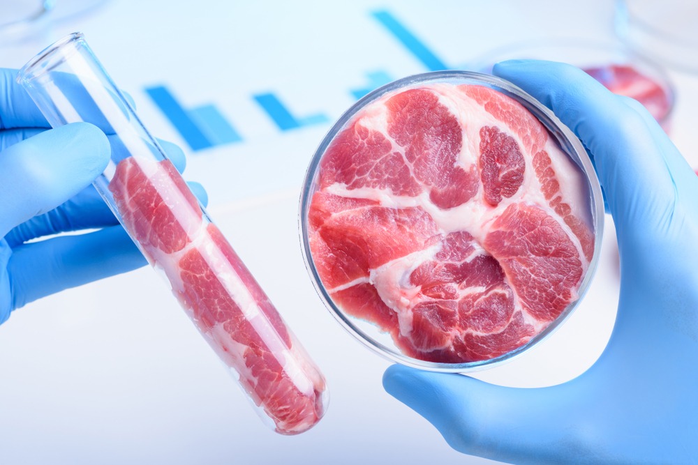 O boom das proteínas alternativas