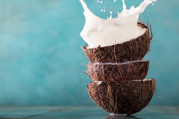 Empresas do setor de alimentos e bebidas dão o pontapé inicial para concessão do coco sustentável