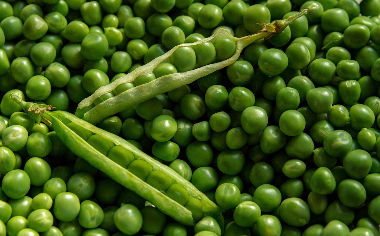 Ingredion assume total propriedade da joint venture Verdient Foods