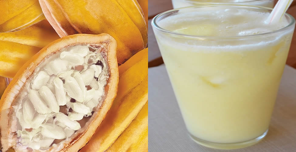 O cacau como ingrediente em bebidas premium