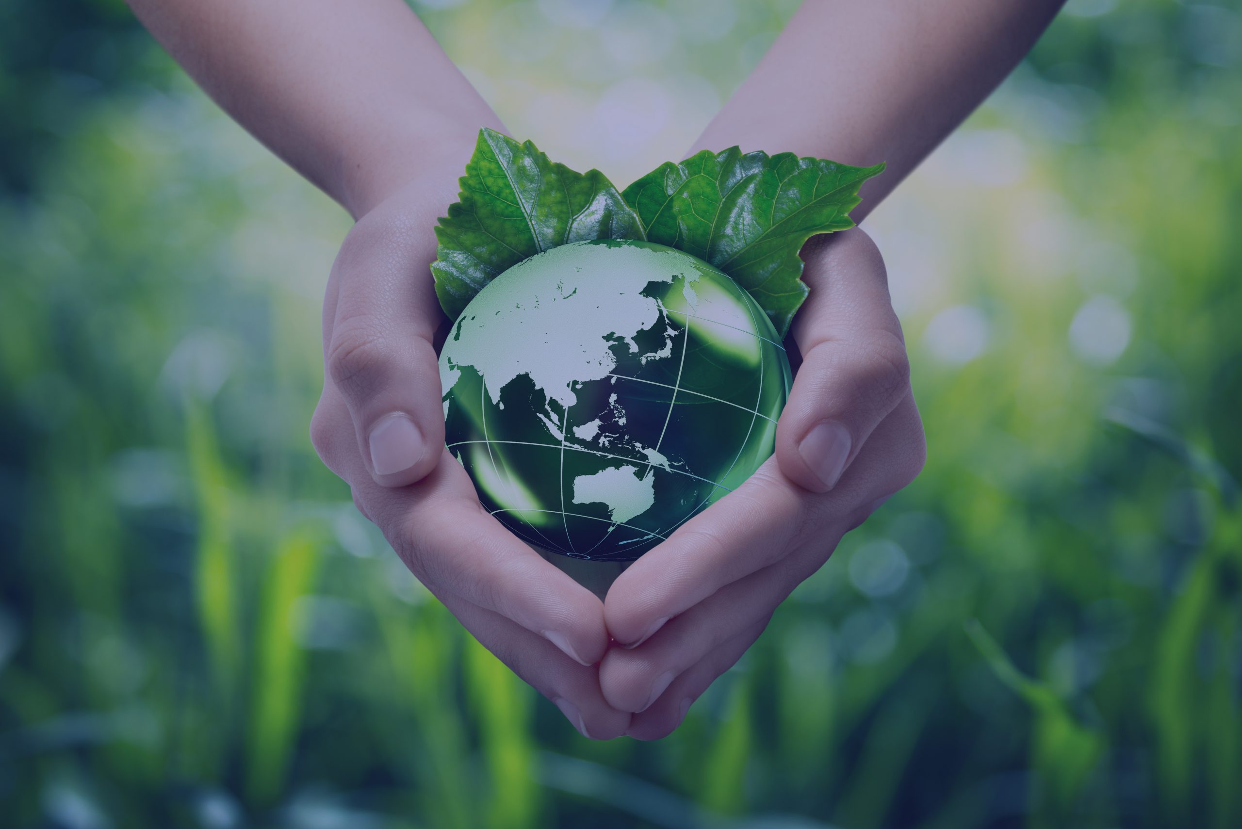 As diferentes perspectivas sobre sustentabilidade