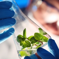 DuPont fecha parceria com IFTF