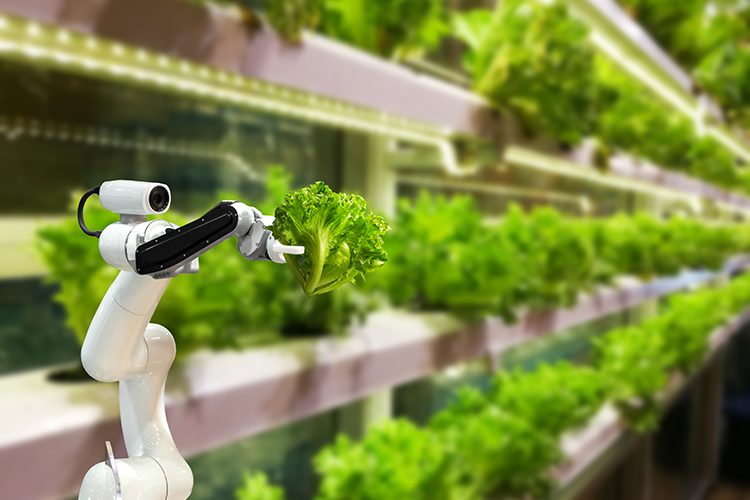 Quais países são verdadeiros inovadores em alimentos?