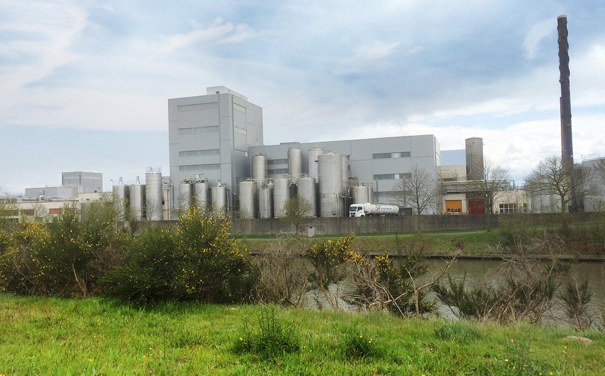 FrieslandCampina vende planta de leite em pó para a Royal A-ware
