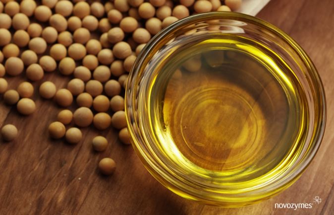 Novozymes lança produto para maior rendimento de óleos vegetais