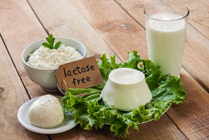 A evolução do mercado de produtos lácteos sem lactose