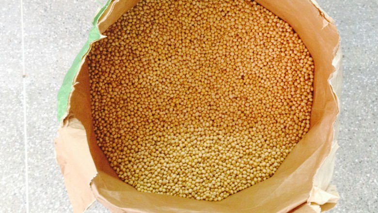 China constrói maior banco de sementes do mundo para ampliar segurança alimentar
