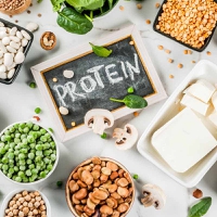 Formatos híbridos e tendência de insetos em proteínas alternativas
