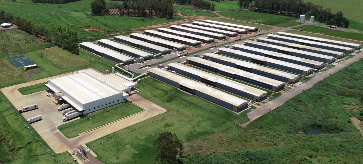 Katayama Alimentos anuncia investimentos para manter forte crescimento