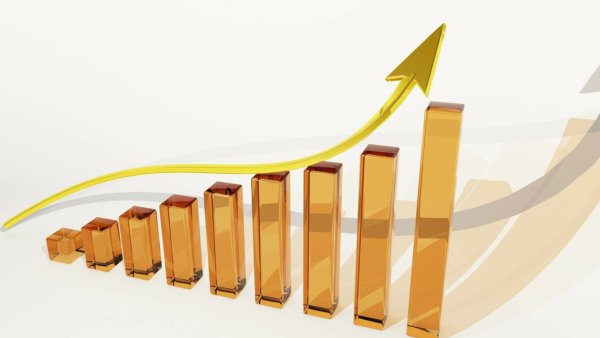 Nexira registra os melhores resultados desde a sua criação