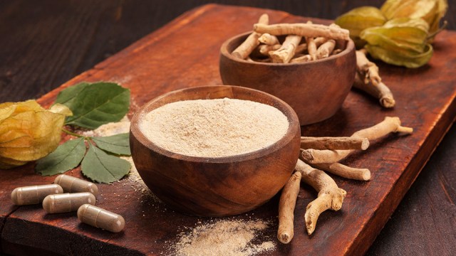 Ashwagandha - A nova estrela entre os adaptógenos