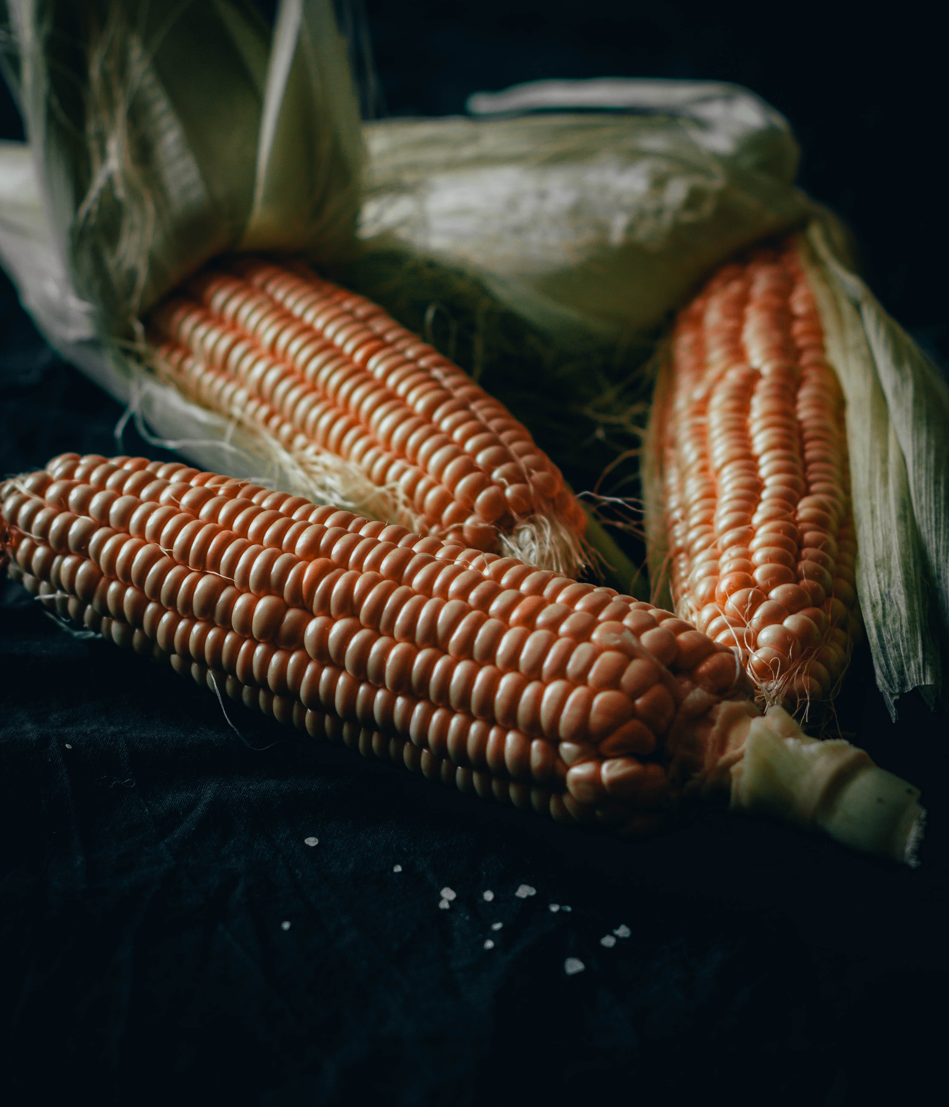 Ingredion incentiva o plantio de milho amarelo no México