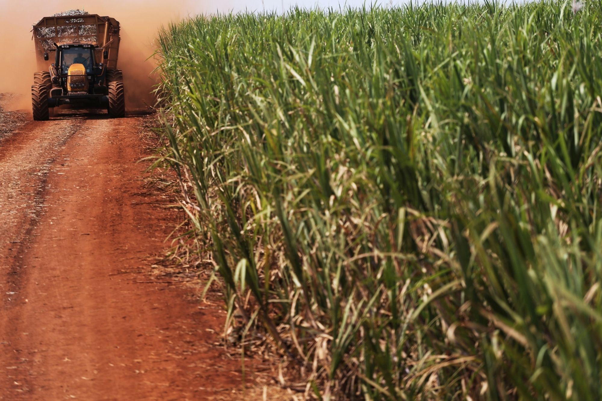 Copersucar compra 50% da fatia da Cargill na Alvean, maior trading de açúcar