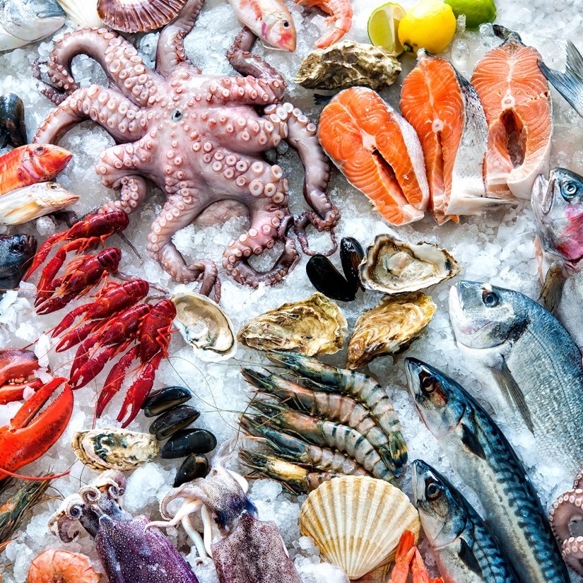 Cargill e Tesco lideram iniciativas na indústria de frutos do mar