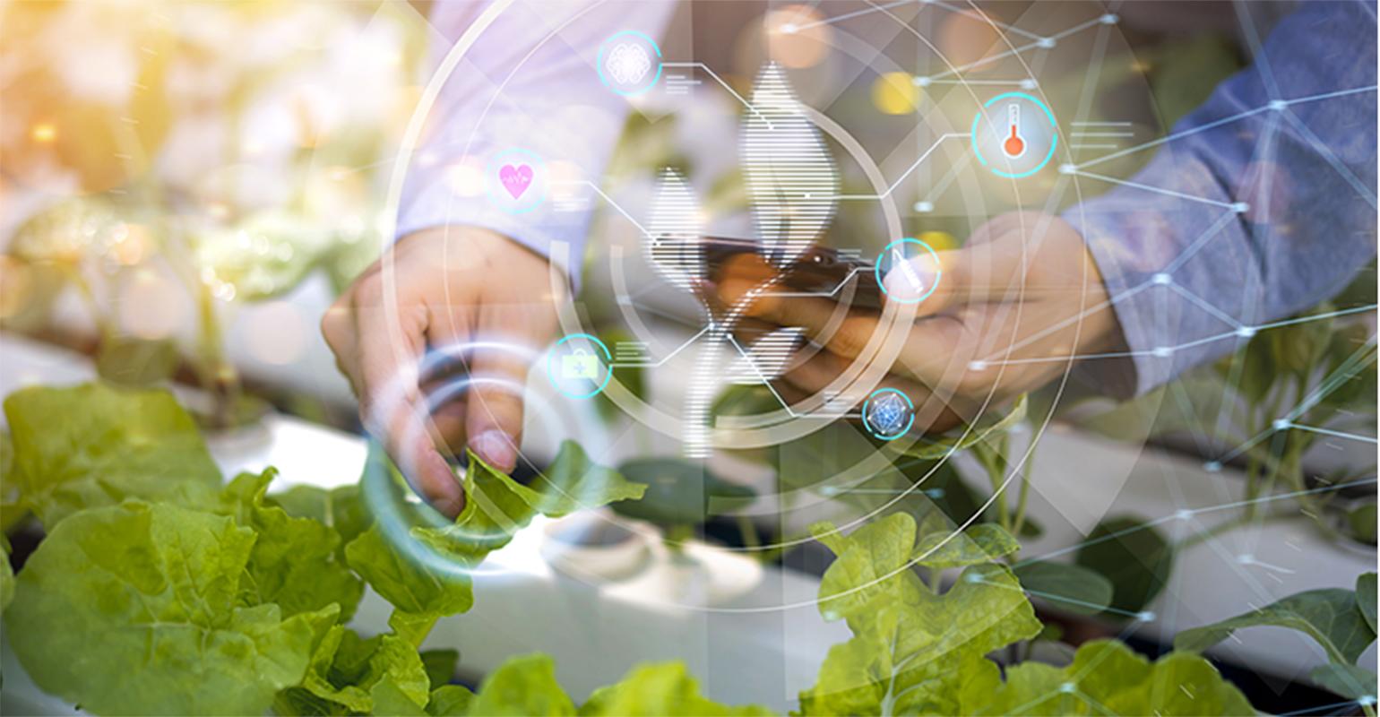 A biossintetização de ingredientes alimentícios é escalonável e sustentável