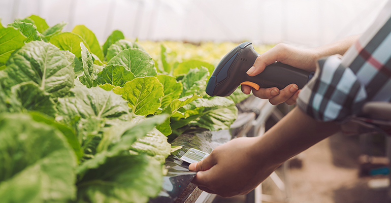 Aproveitando a tecnologia para alegações éticas mais significativas
