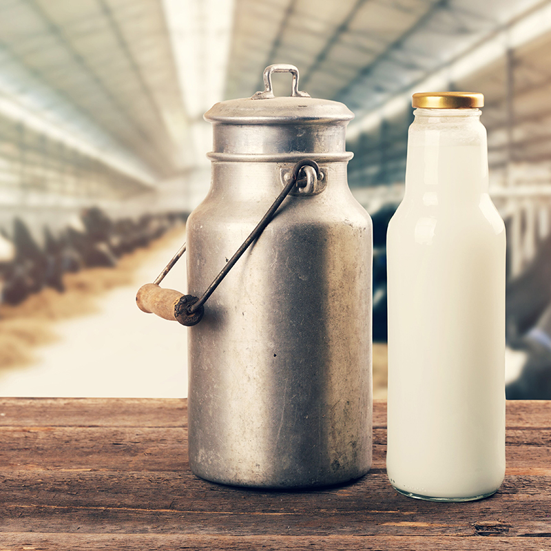 Milk Specialties Global lança linha de proteína de soro de leite NutriPRO