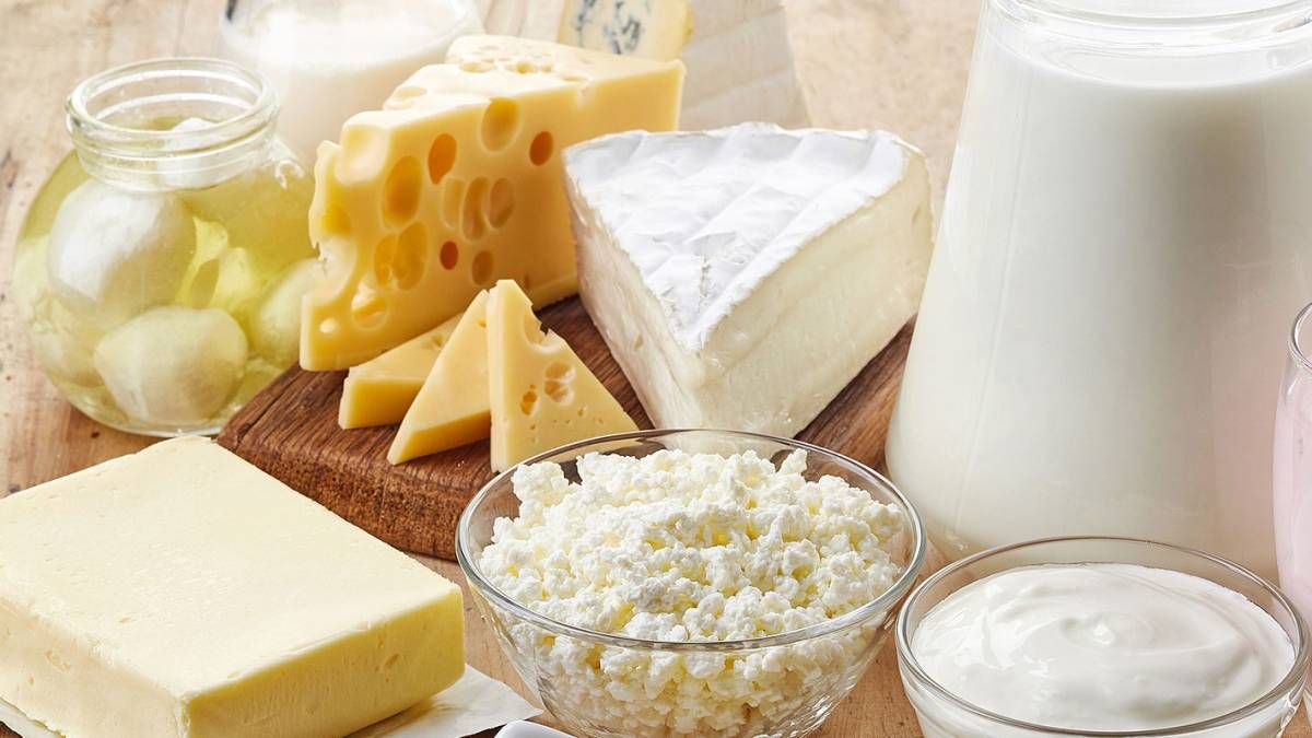 Leite de diferentes espécies e produtos derivados