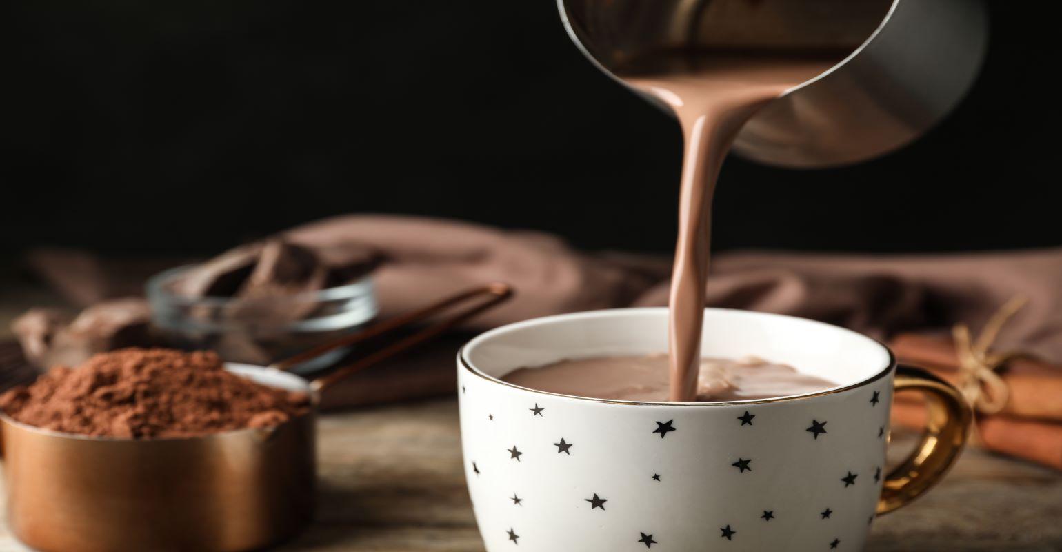 Cacau rico em flavonóides pode proteger dos efeitos do estresse