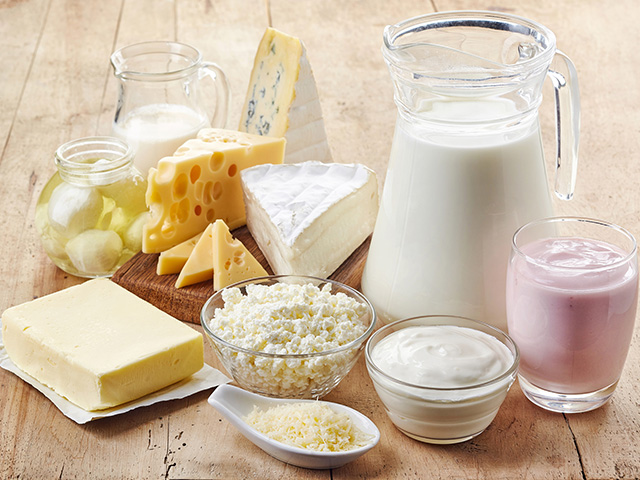 Laticínios tem perfil de proteína superior