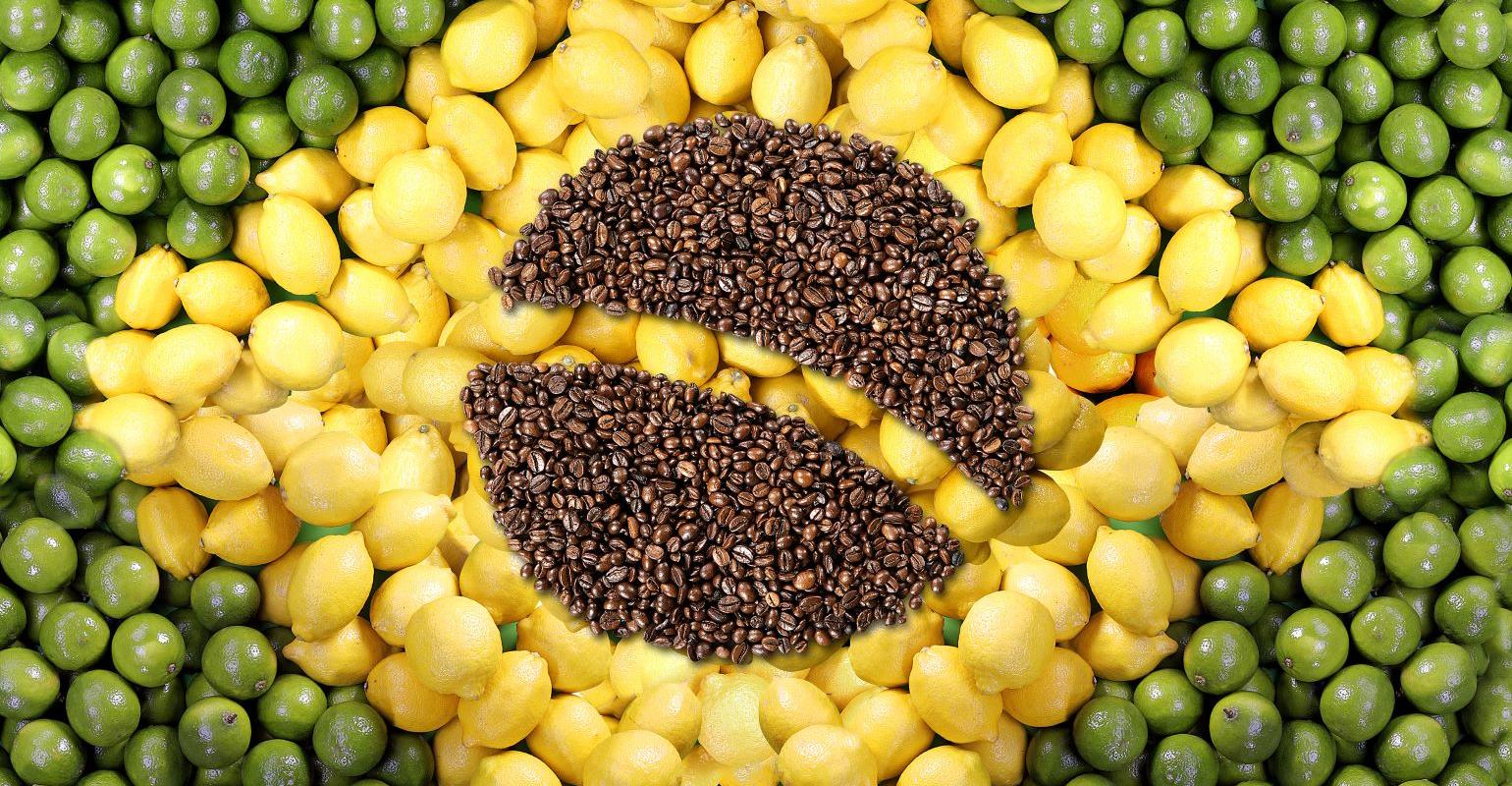 Brasil torna-se polo de exportação de alimentos saudáveis e de bem-estar