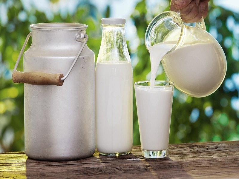 Embrapa e Lactalis estudam parceria