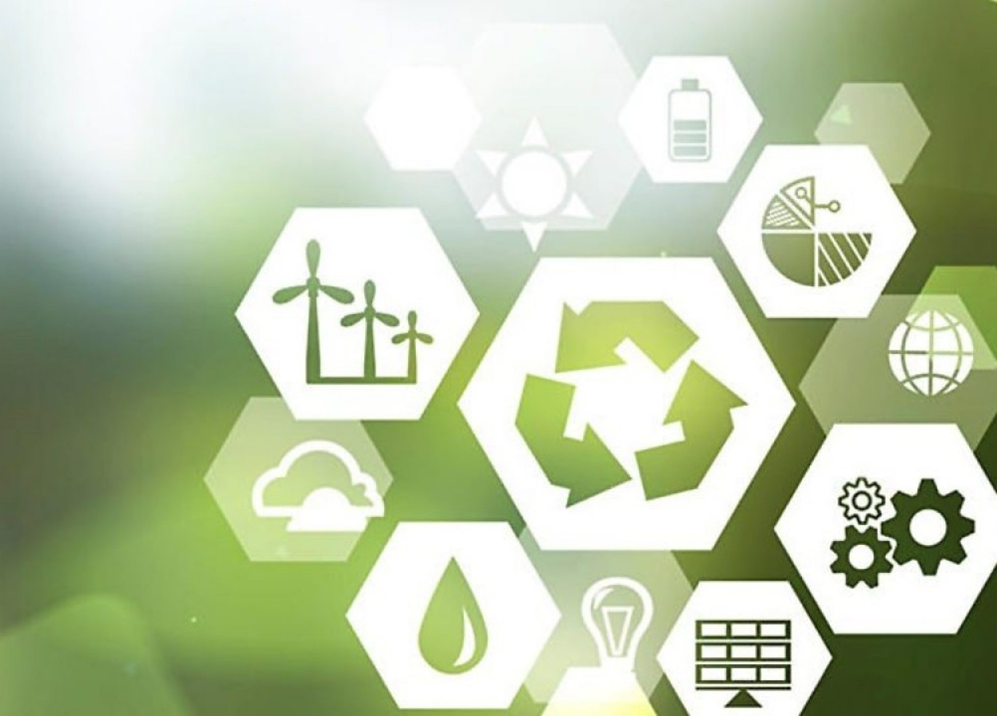 A importância da sustentabilidade para as marcas