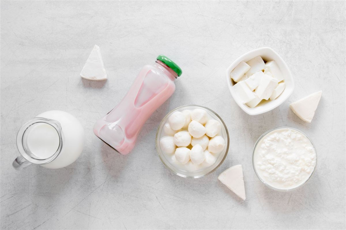 Principais contaminações microbianas em produtos lácteos