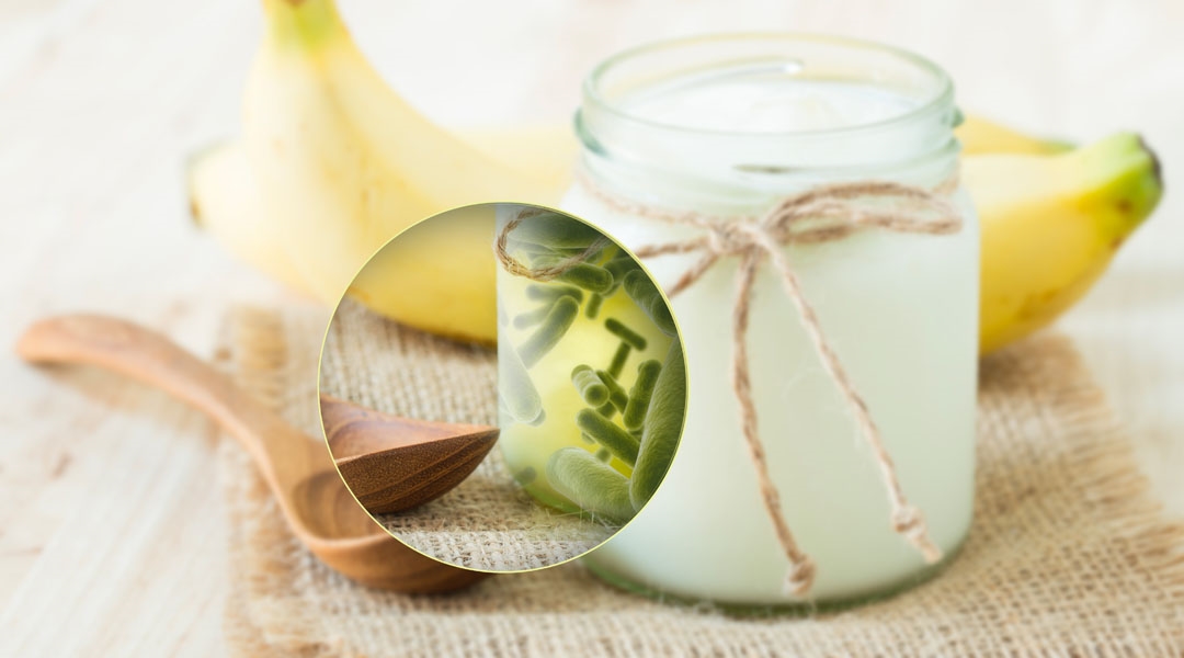 A importância dos lactobacilos na indústria alimentícia