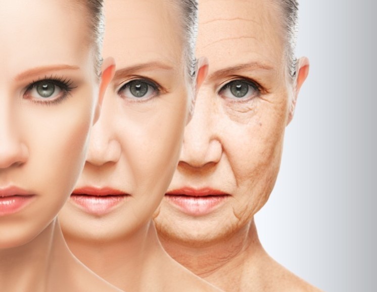 Probióticos e fitonutrientes como ingredientes rejuvenescedores?