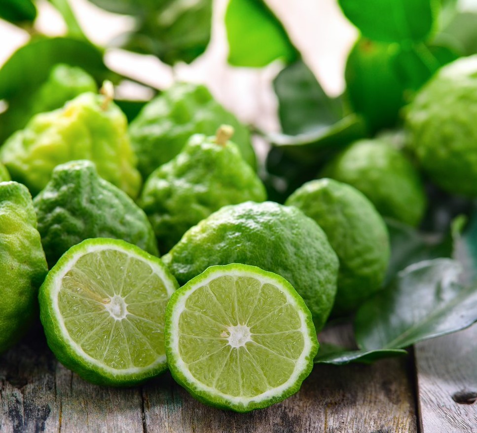 Synergy Flavors expande portfólio de cítricos com linha de procedência italiana