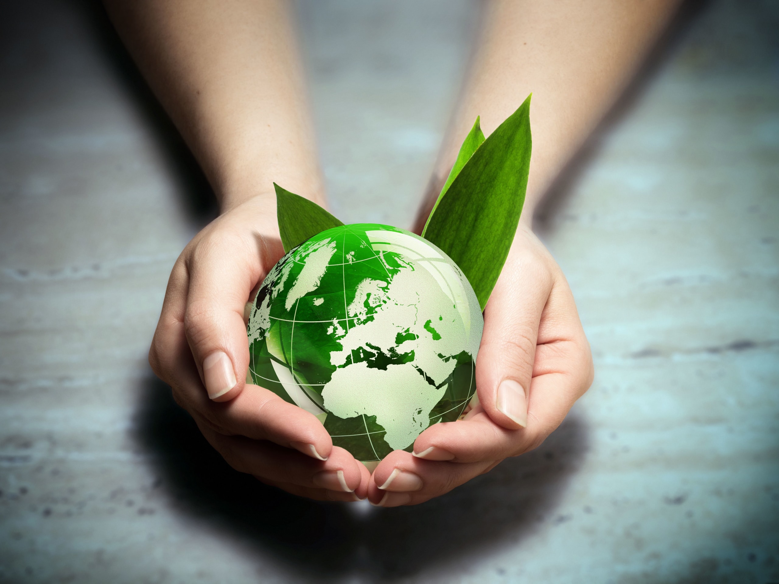Preocupação do consumidor com a sustentabilidade varia ao redor do mundo