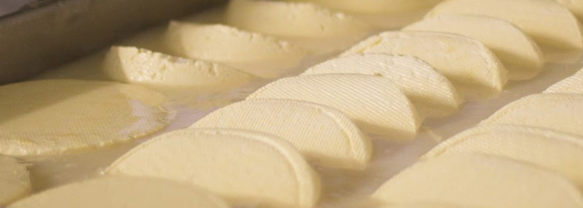 A função da salmoura na fabricação de queijos... e os desafios