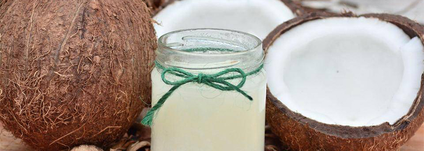 Barry Callebaut lidera projeto de sustentabilidade do coco
