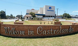 Castrolanda bate recorde de faturamento no primeiro semestre de 2021