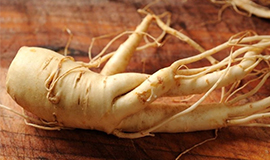 Desenvolvimento de novos produtos de ginseng gera aumento na produção de ginsenósidos