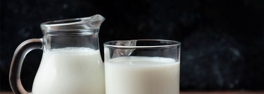 A importância da lactose na dieta humana