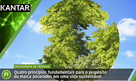 Quatro princípios fundamentais para o propósito da marca ancorados em uma vida sustentável