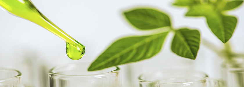 Produção biotecnológica de aromas
