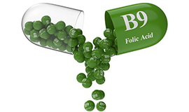 Alimentos enriquecidos com vitamina B9 produzida por bactérias  podem ser alternativa natural ao ácido fólico