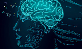 Como a digestão, o microbioma e a saúde intestinal podem influenciar a cognição e o bem-estar mental