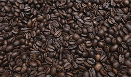 Mudança climática está afetando o sabor e o aroma do café