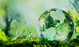 Padronização na rotulagem ecológica