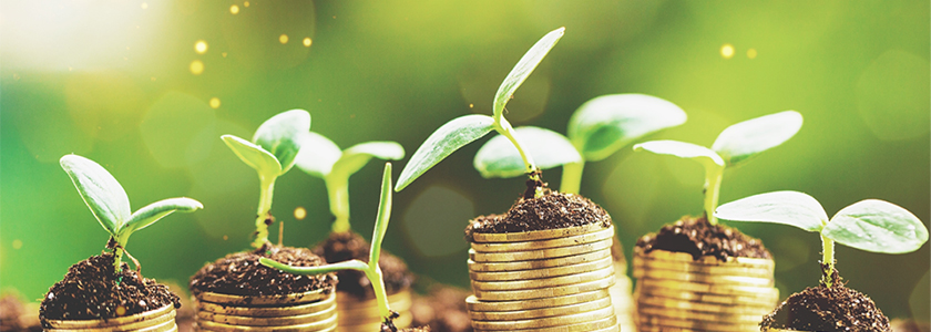 Hormel Foods investe em novo fundo de capital de risco