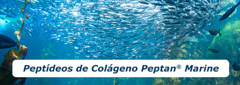 Peptídeos de colágeno Peptan® marine