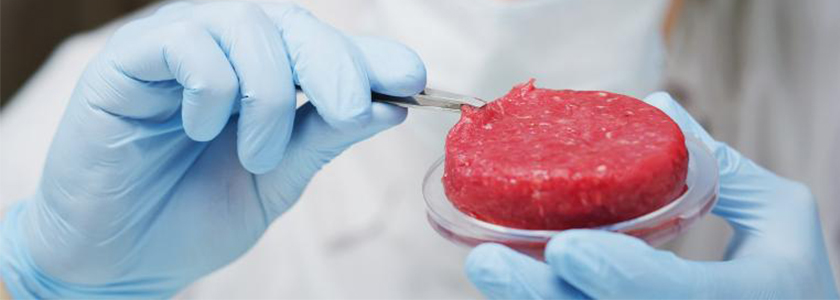 As inovações que aceleram a produção de proteína animal
