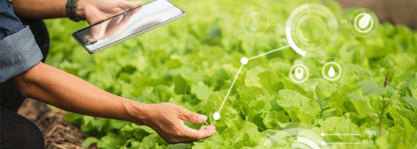 Tecnologia agropecuária e seus impactos no setor de alimentos